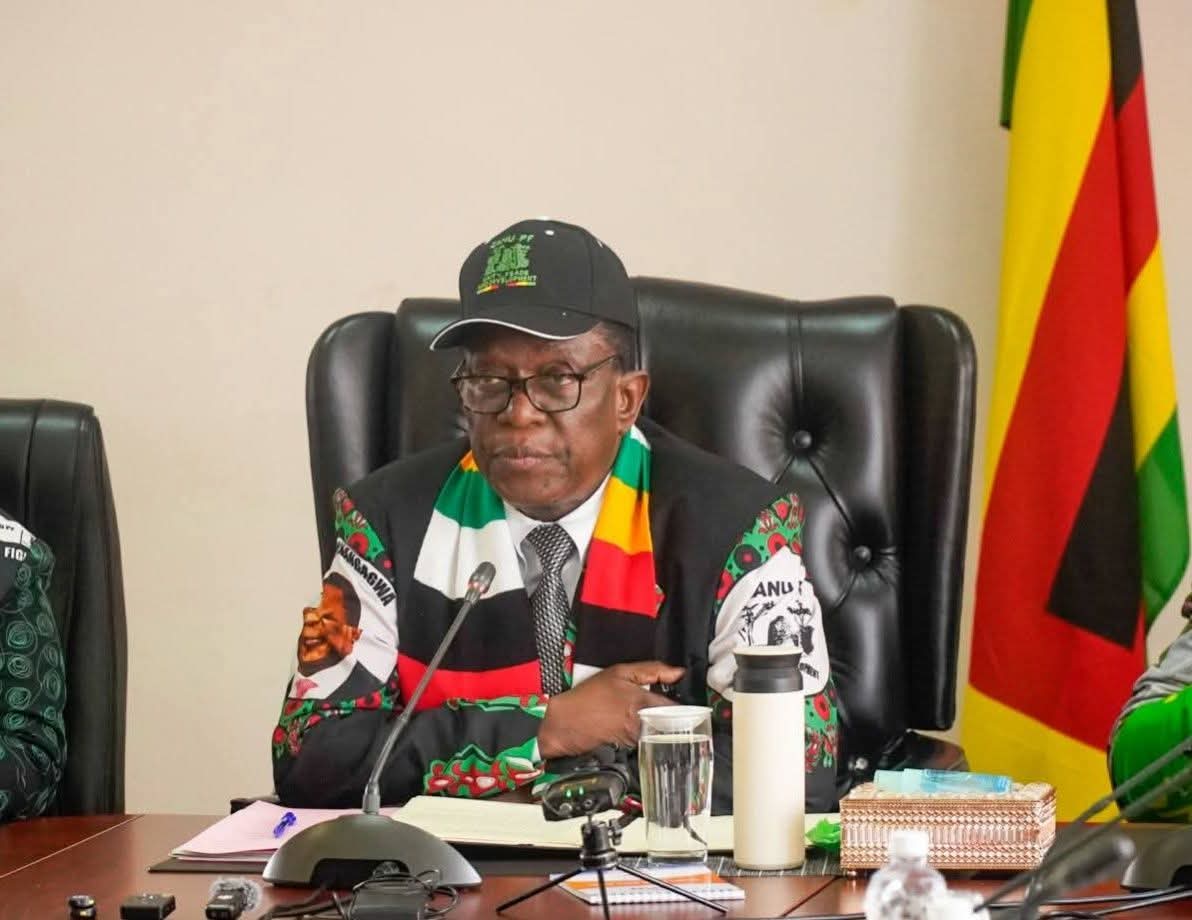 President Emmerson Mnangagwa speaking at a ZANU-PF event