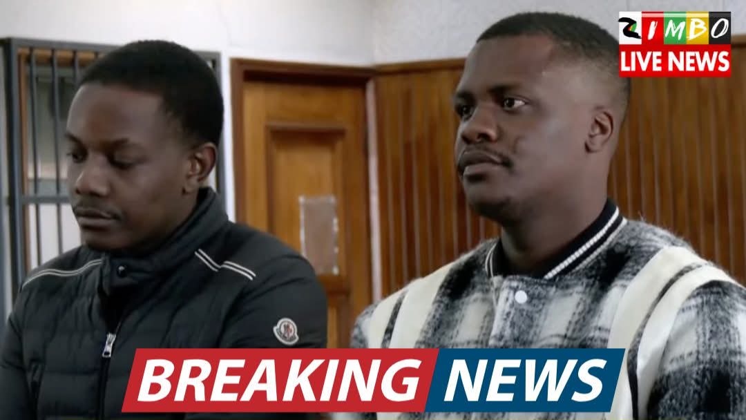 South Africa orders immediate deportation of Bellarmine Chatunga Mugabe after R600,000 fine