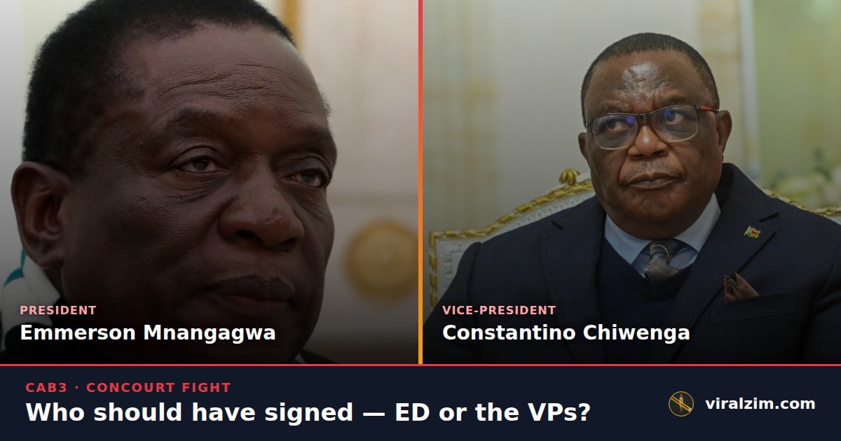 Side-by-side photos of President Emmerson Mnangagwa and Vice-President Constantino Chiwenga