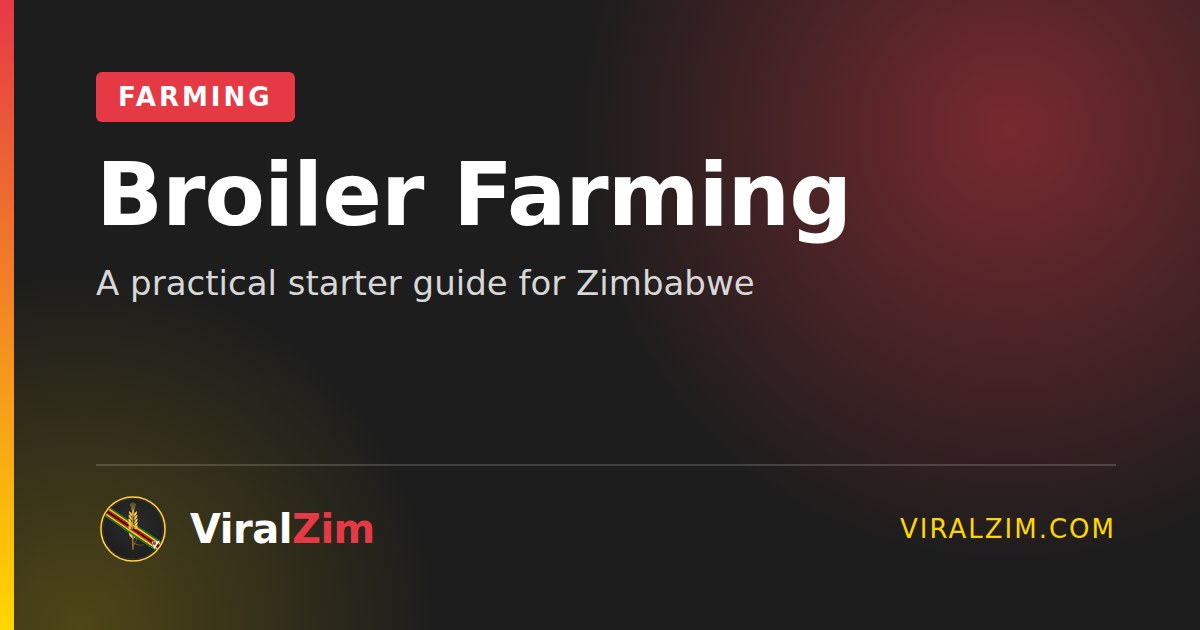 Broiler Chicken Farming in Zimbabwe: A Practical Starter Guide