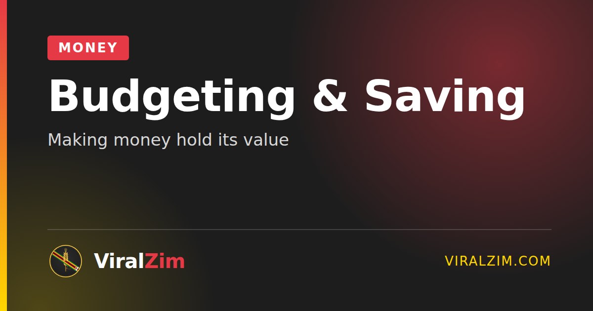 Budgeting and Saving in Zimbabwe: Making Money Hold Its Value