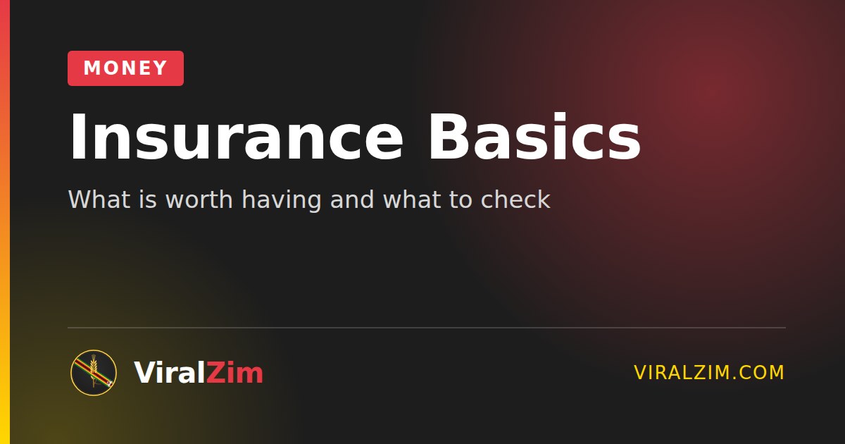 Insurance in Zimbabwe: What Is Worth Having and What to Check