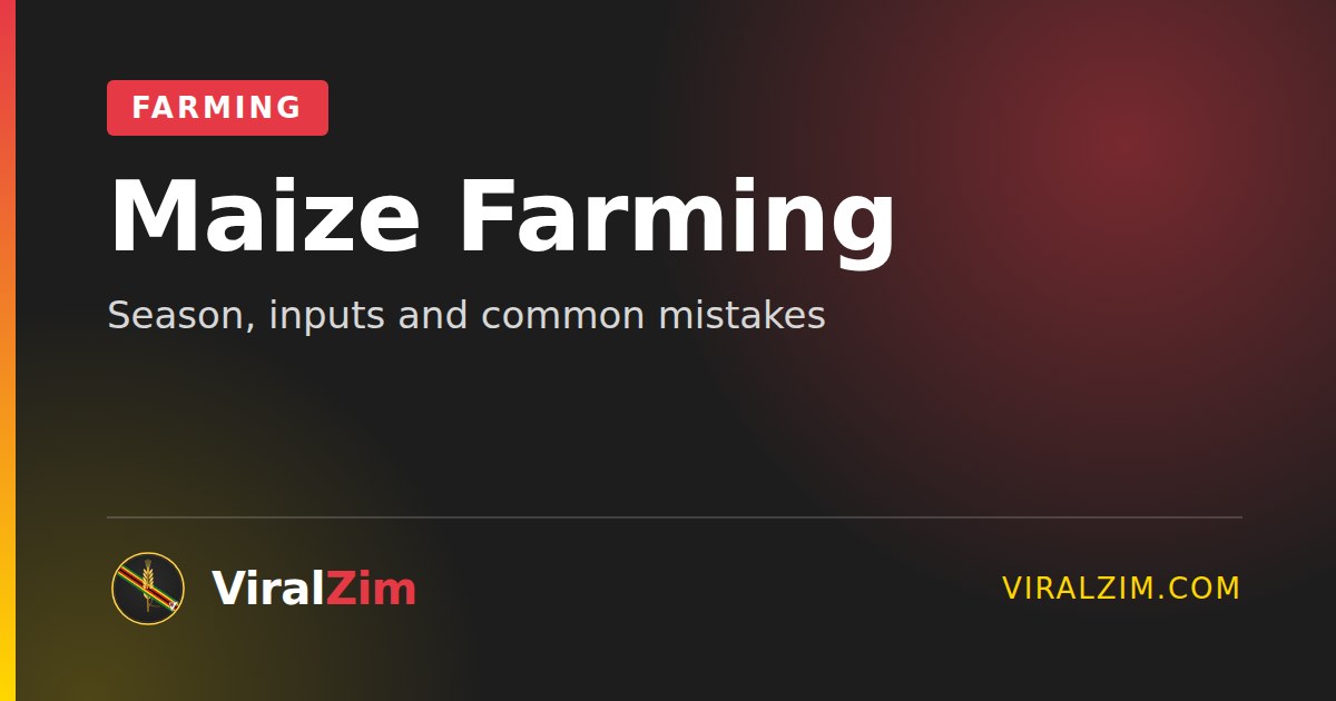 Maize Farming in Zimbabwe: Season, Inputs and Common Mistakes