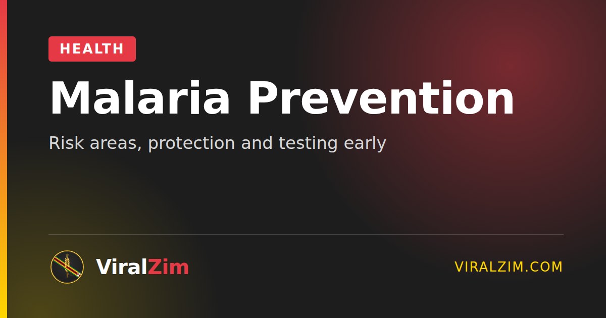 Malaria in Zimbabwe: Prevention, Symptoms and Getting Tested
