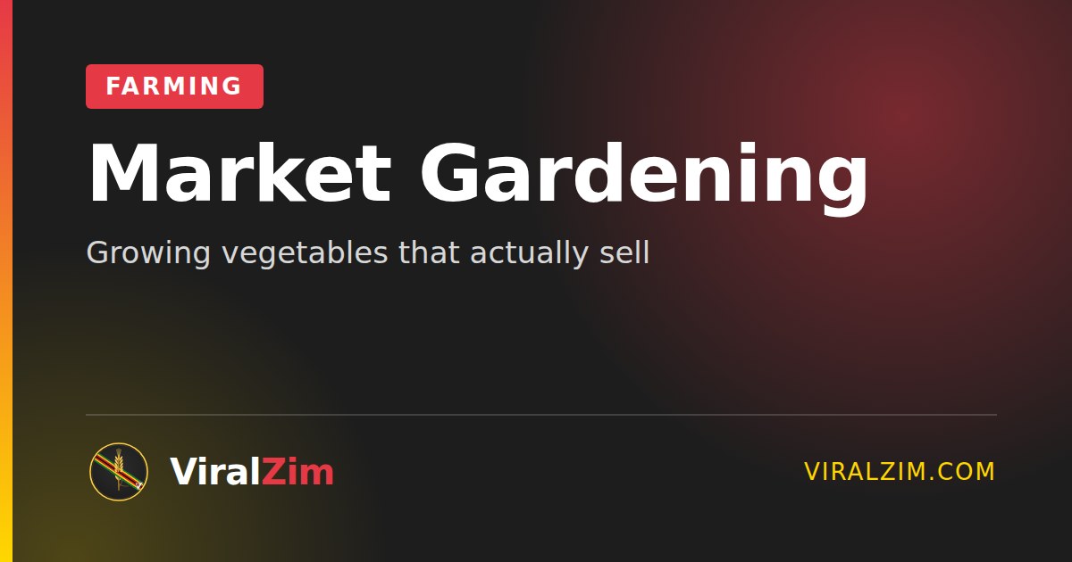 Market Gardening in Zimbabwe: Growing Vegetables That Sell