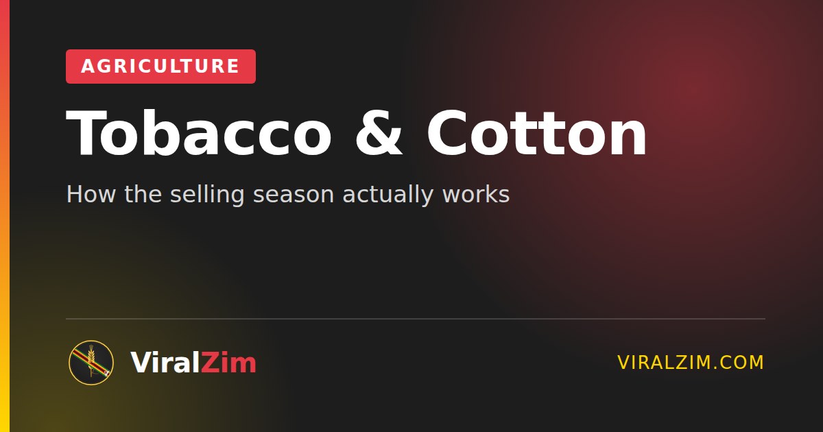 Tobacco and Cotton Selling Season in Zimbabwe: How It Works