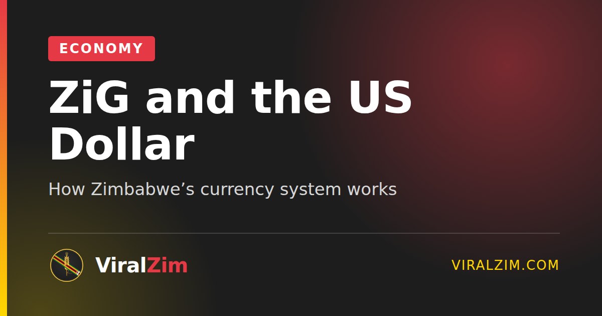 ZiG and the US Dollar: How Zimbabwe’s Currency System Works